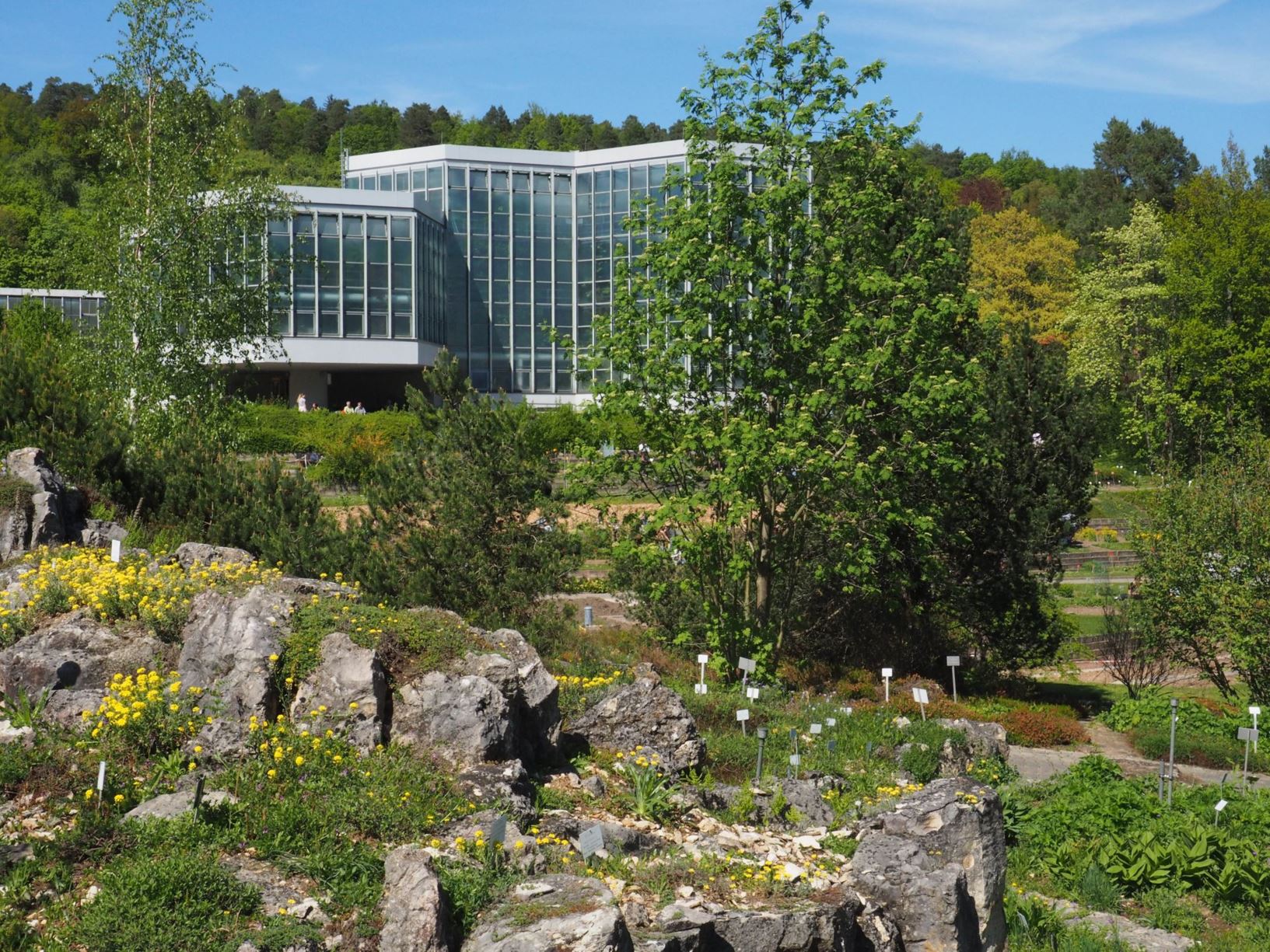 Garden view